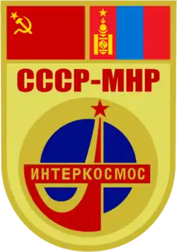 Insigne de la mission