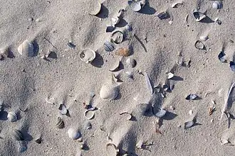 Iles Spiekeroog en mer du Nord.