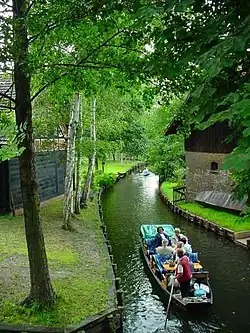 Promenade en barque à travers la forêt