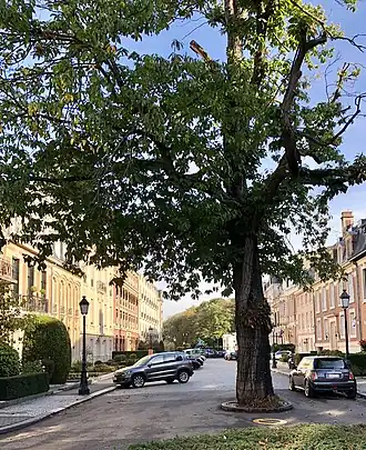 BelgiqueÀ Bruxelles, le square du Bois, surnommé « le square des milliardaires ».