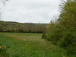 Paysage à proximité de Saint-Benoît.