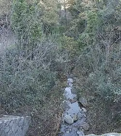 Filet d'eau coulant entre des friches.