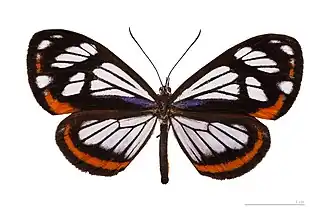 Description de cette image, également commentée ci-après