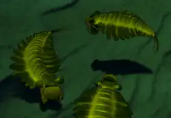 Vue d'artiste de S. hirpex sur le fond marin.