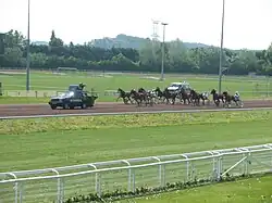 Course à l'hippodrome de Cavaillon.