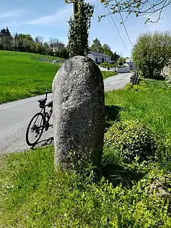 Statue-menhir de Guior-Haut