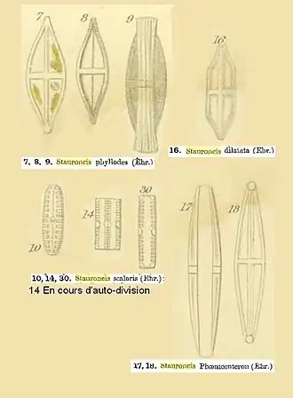 Description de cette image, également commentée ci-après