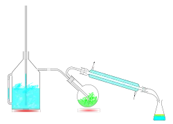Steam Distillation Apparatus
