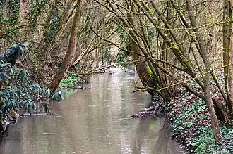 Ruisseau Steinbaechlein.