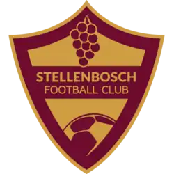 Logo du Stellenbosch FC
