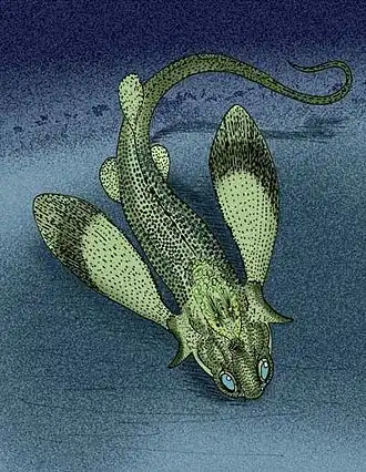 Stensioella heintzi, un Stensioéllide.