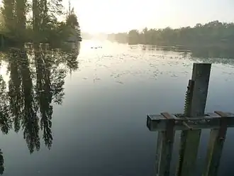 L'étang de Saint-Maigrin au petit matin