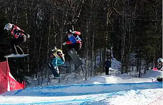 Image illustrative de l’article Dominique Maltais