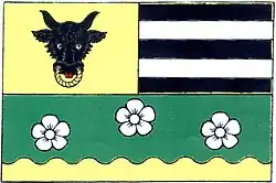 Drapeau de Strachujov