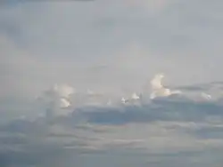 Stratocumulus castellanus