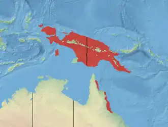 Description de l'image Striped Possum.png.