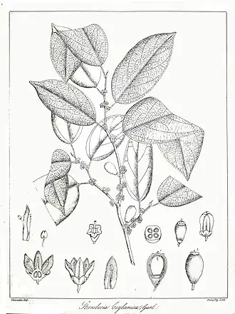 Description de cette image, également commentée ci-après