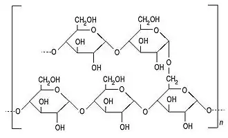 Image illustrative de l’article Amidon