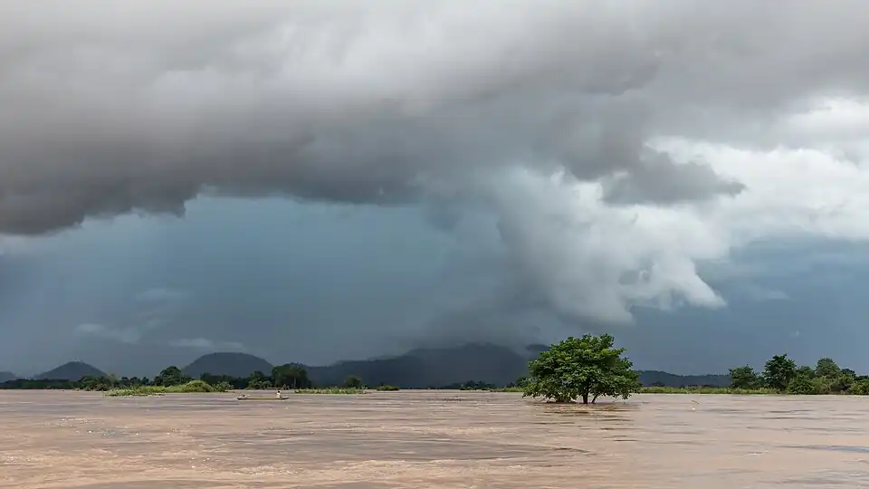Arbre immergé dans le Mékong sous un ciel sombre et nuageux pendant la mousson, à Si Phan Don.