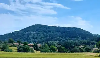 Image illustrative de l’article Suc de Monet