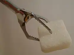 Pince en crabe et son sucre