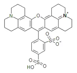Image illustrative de l’article Sulforhodamine 101