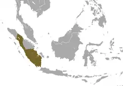 Carte d'Asie du Sud-Est avec une zone vert kaki sur Sumatra