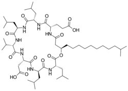 Image illustrative de l’article Surfactine