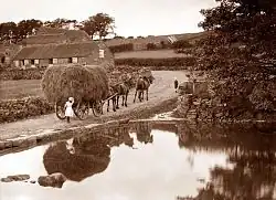 Farmer people Whitby.