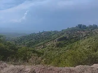 Suzak (Kirghizistan)