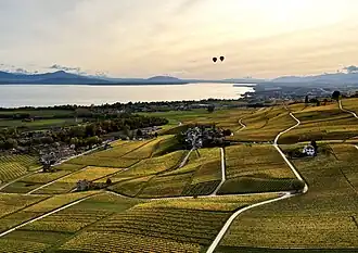Image illustrative de l’article La Côte (AOC)