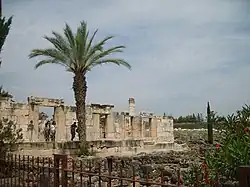 Ruines de la synagogue