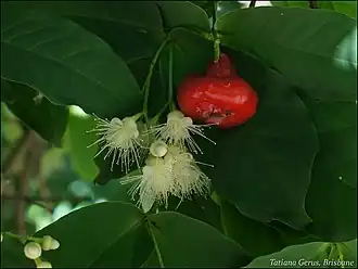 Description de cette image, également commentée ci-après