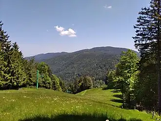 Vue vers le massif du Brézouard depuis la tête des Chats.