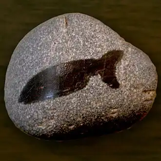 Image illustrative de l’article Grande marche des Tacons-Sites