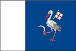 Drapeau de Telenești