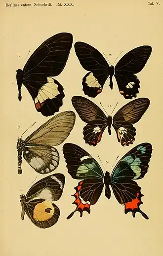 Description de cette image, également commentée ci-après