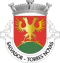 Blason de Salvador