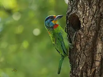 Description de cette image, également commentée ci-après