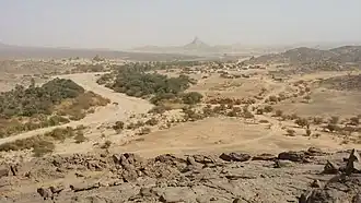Photo d'un paysage vallonné composé de vignes.
