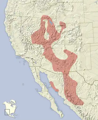 Description de cette image, également commentée ci-après