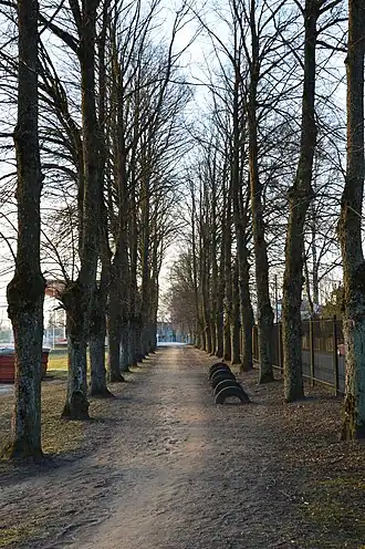 Image illustrative de l’article Tamme puiestee