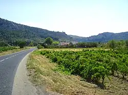 Vue vers Tautavel depuis Vingrau.