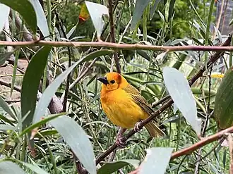 Description de cette image, également commentée ci-après