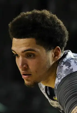 Image illustrative de l’article Teddy Allen