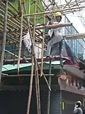 Montage d'un échafaudage de bambou, Hong Kong.