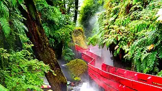 Une passerelle serpente entre des sources thermales, dans la région de Valdivia au sud du Chili.