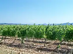 Dépôt de galets roulés.