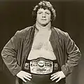 Terry Funk, catcheur de l'année 1976