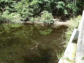 Image illustrative de l’article Teufelsbach (Saußbach)